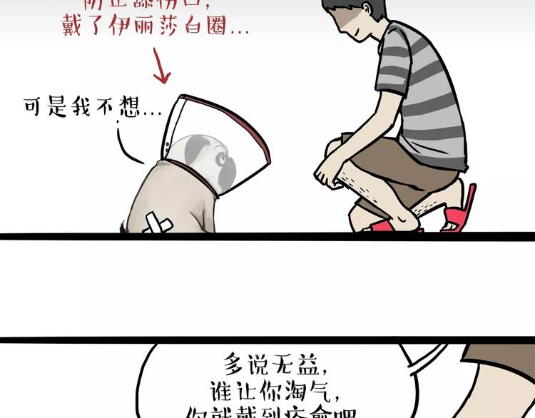 《吾皇巴扎黑》漫画最新章节第104话 来人救驾免费下拉式在线观看章节第【4】张图片