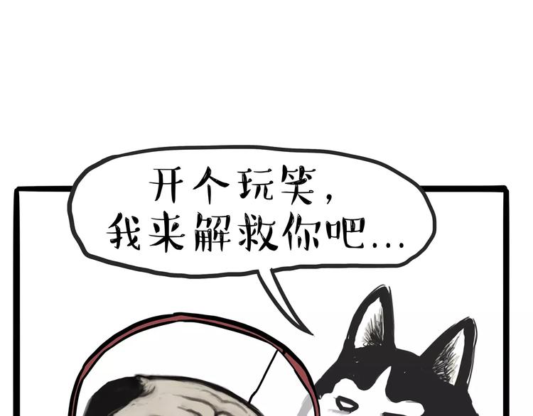 《吾皇巴扎黑》漫画最新章节第104话 来人救驾免费下拉式在线观看章节第【9】张图片