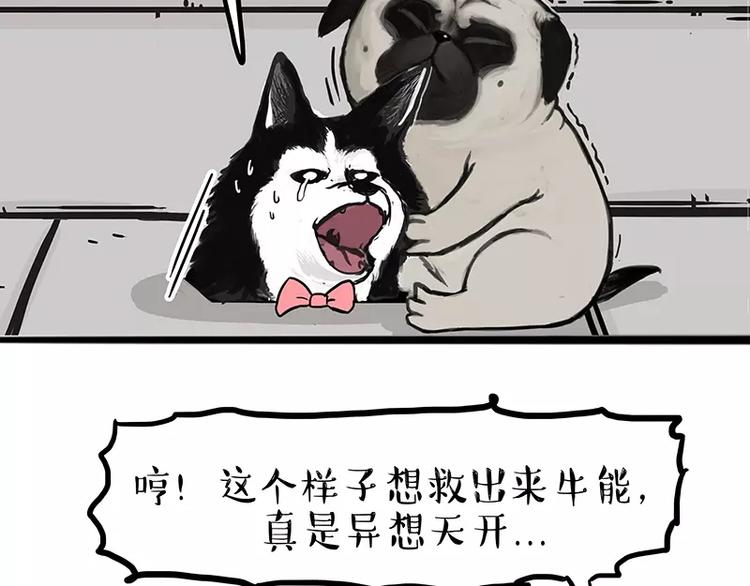 《吾皇巴扎黑》漫画最新章节第105话 劲往一处使免费下拉式在线观看章节第【13】张图片