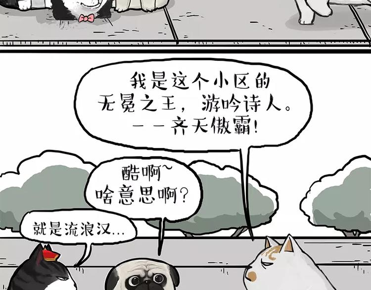 《吾皇巴扎黑》漫画最新章节第105话 劲往一处使免费下拉式在线观看章节第【19】张图片