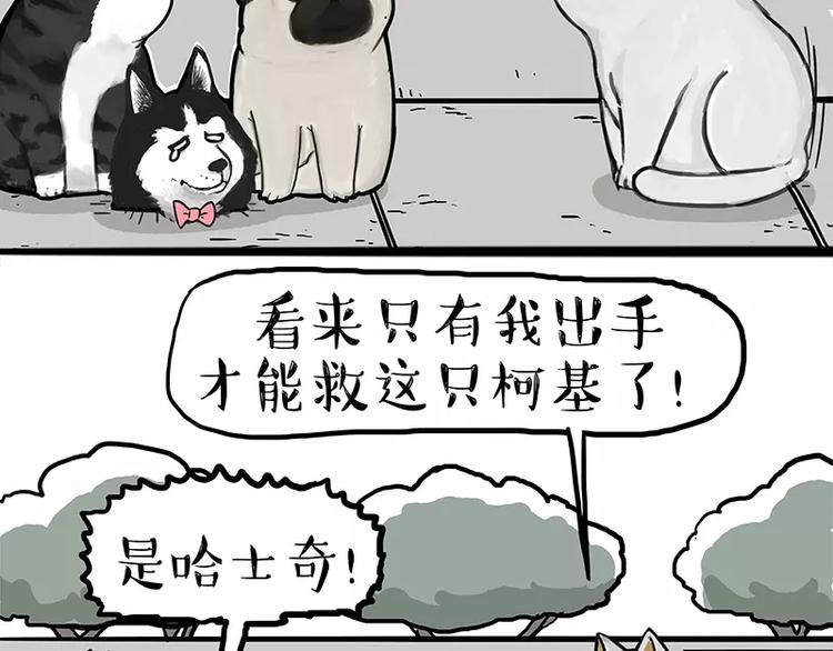 《吾皇巴扎黑》漫画最新章节第105话 劲往一处使免费下拉式在线观看章节第【20】张图片