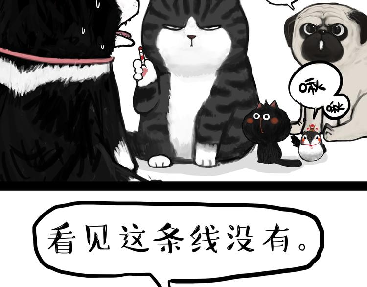 《吾皇巴扎黑》漫画最新章节第110话 谁说了算免费下拉式在线观看章节第【3】张图片