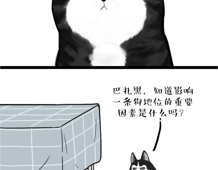 《吾皇巴扎黑》漫画最新章节第110话 谁说了算免费下拉式在线观看章节第【50】张图片