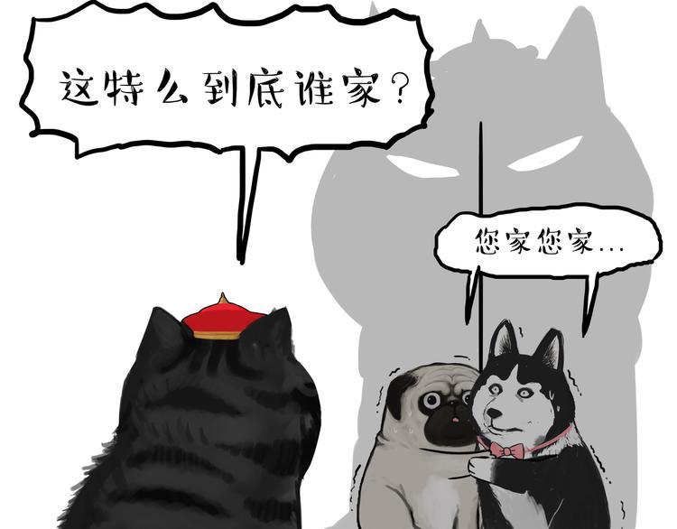 《吾皇巴扎黑》漫画最新章节第110话 谁说了算免费下拉式在线观看章节第【64】张图片