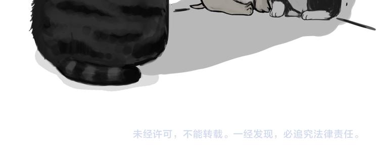 《吾皇巴扎黑》漫画最新章节第110话 谁说了算免费下拉式在线观看章节第【65】张图片