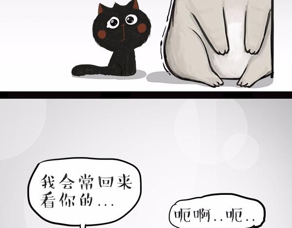 《吾皇巴扎黑》漫画最新章节第113话 牛牪犇出场（下）免费下拉式在线观看章节第【19】张图片