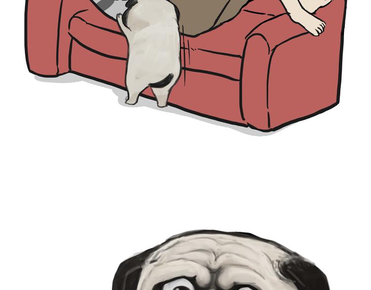 《吾皇巴扎黑》漫画最新章节第114话 一只狗免费下拉式在线观看章节第【9】张图片