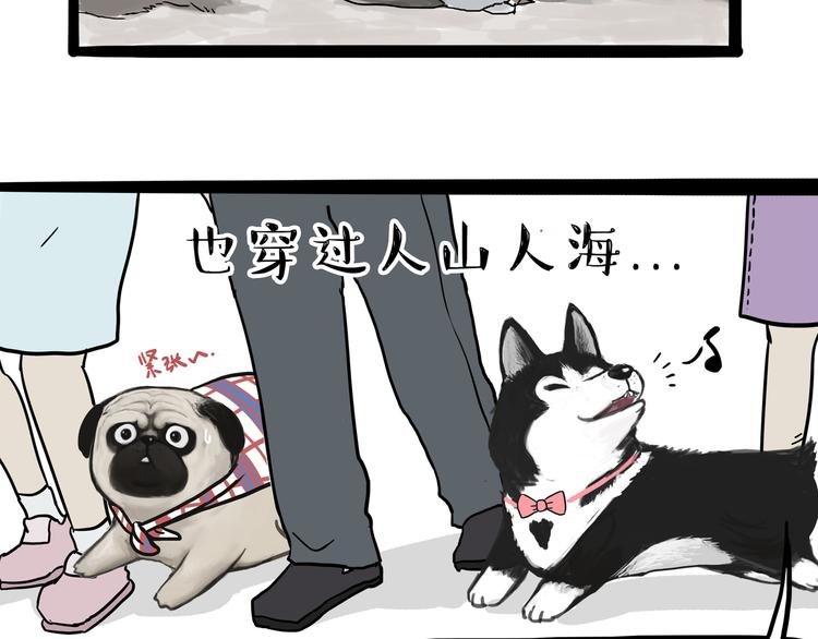 《吾皇巴扎黑》漫画最新章节第116话 离家出走免费下拉式在线观看章节第【16】张图片