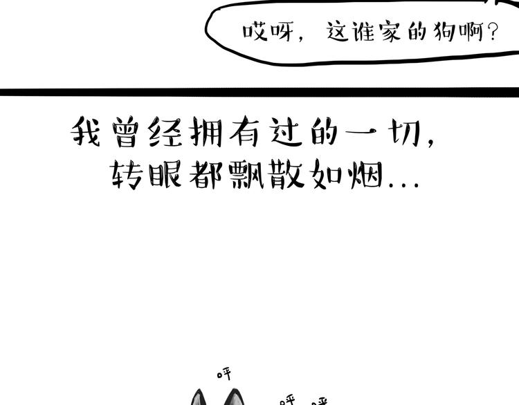 《吾皇巴扎黑》漫画最新章节第116话 离家出走免费下拉式在线观看章节第【17】张图片