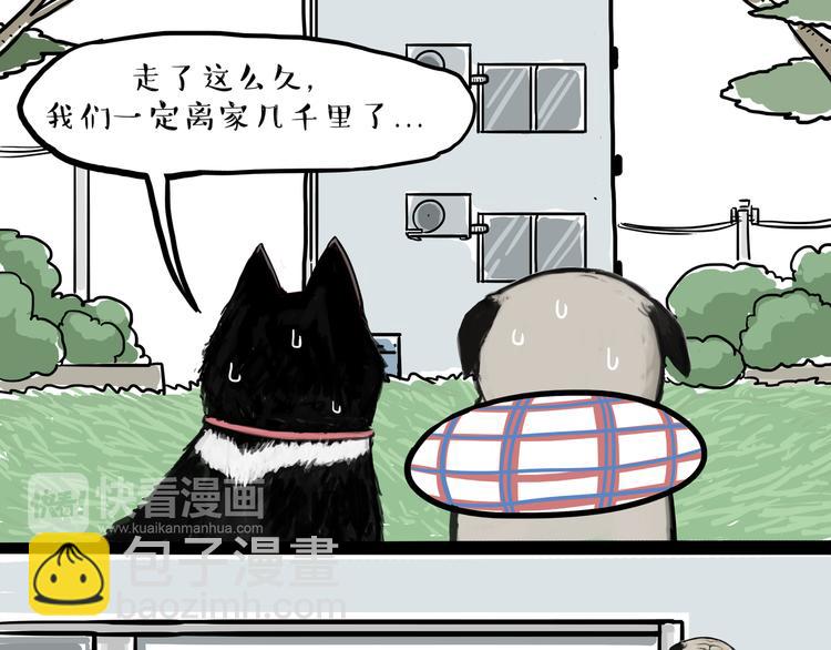 《吾皇巴扎黑》漫画最新章节第116话 离家出走免费下拉式在线观看章节第【19】张图片