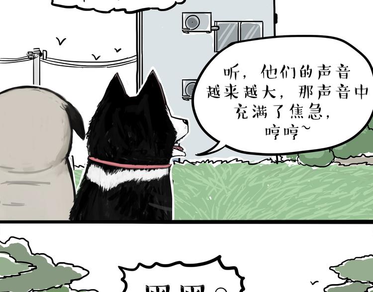 《吾皇巴扎黑》漫画最新章节第116话 离家出走免费下拉式在线观看章节第【32】张图片