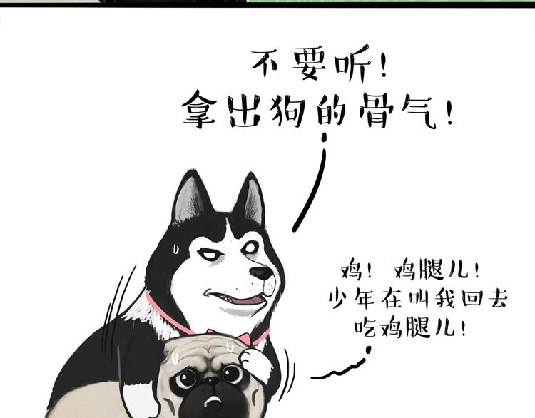 《吾皇巴扎黑》漫画最新章节第116话 离家出走免费下拉式在线观看章节第【36】张图片