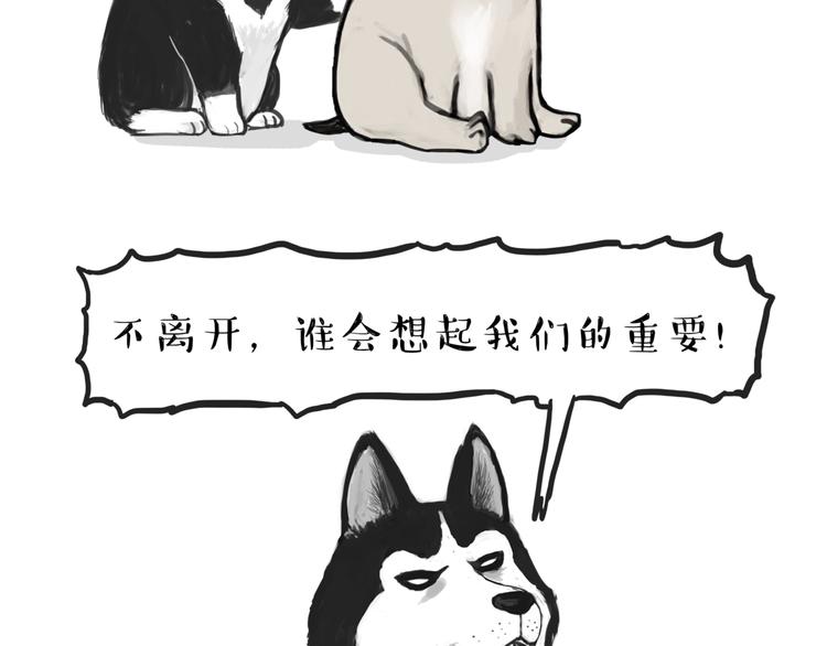 《吾皇巴扎黑》漫画最新章节第116话 离家出走免费下拉式在线观看章节第【4】张图片