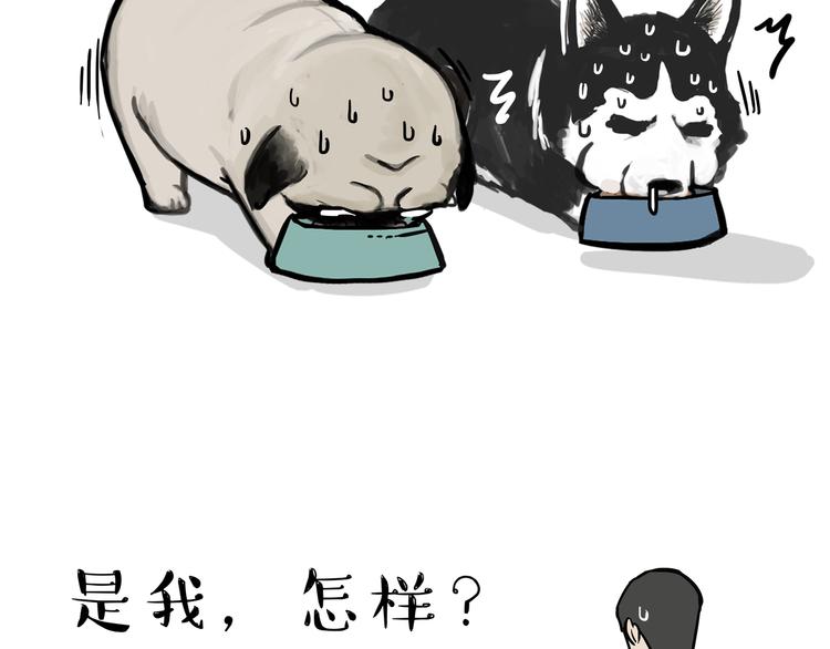 《吾皇巴扎黑》漫画最新章节第116话 离家出走免费下拉式在线观看章节第【46】张图片