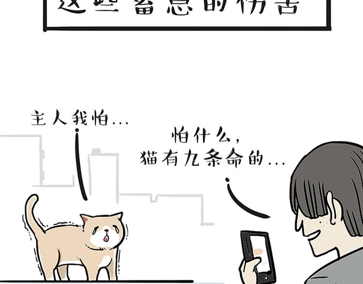 《吾皇巴扎黑》漫画最新章节第117话 我们的关系免费下拉式在线观看章节第【19】张图片