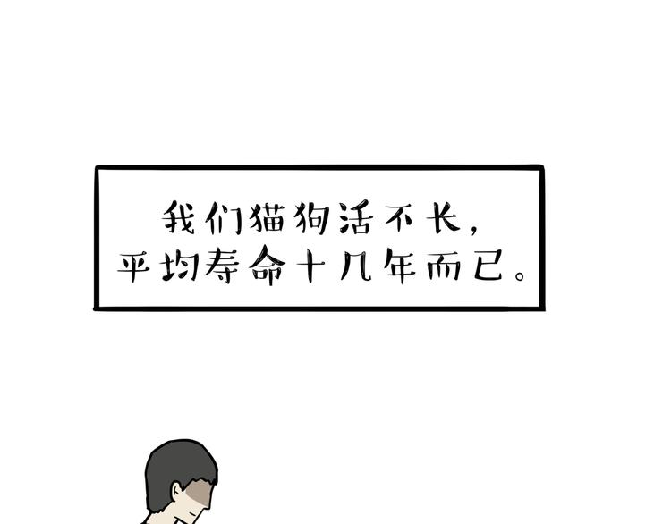 《吾皇巴扎黑》漫画最新章节第117话 我们的关系免费下拉式在线观看章节第【37】张图片