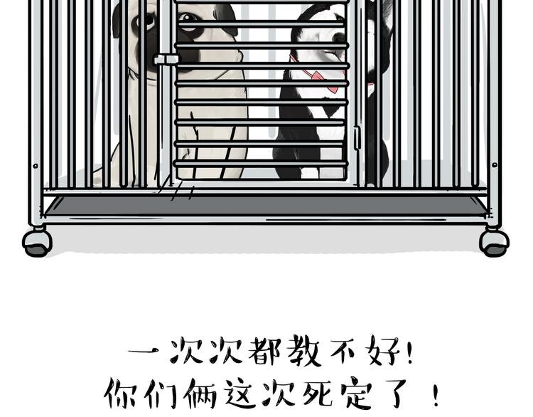 《吾皇巴扎黑》漫画最新章节第118话 去势？！免费下拉式在线观看章节第【2】张图片