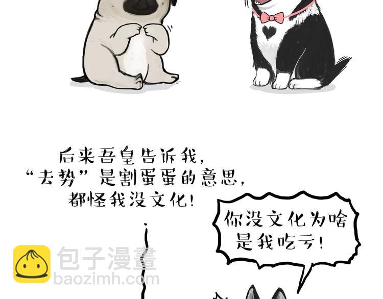 《吾皇巴扎黑》漫画最新章节第118话 去势？！免费下拉式在线观看章节第【29】张图片