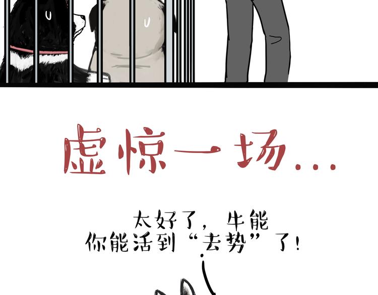 《吾皇巴扎黑》漫画最新章节第118话 去势？！免费下拉式在线观看章节第【37】张图片