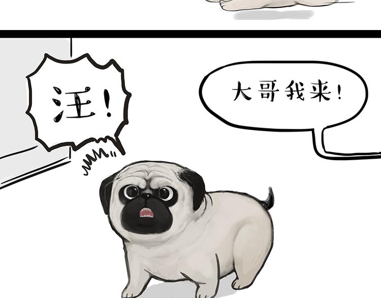 《吾皇巴扎黑》漫画最新章节第119话 叛逆期免费下拉式在线观看章节第【12】张图片