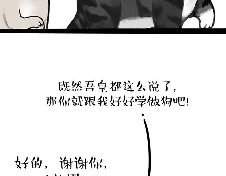 《吾皇巴扎黑》漫画最新章节第119话 叛逆期免费下拉式在线观看章节第【39】张图片