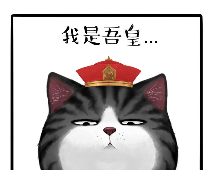 《吾皇巴扎黑》漫画最新章节第124话 一只尊贵的喵免费下拉式在线观看章节第【1】张图片