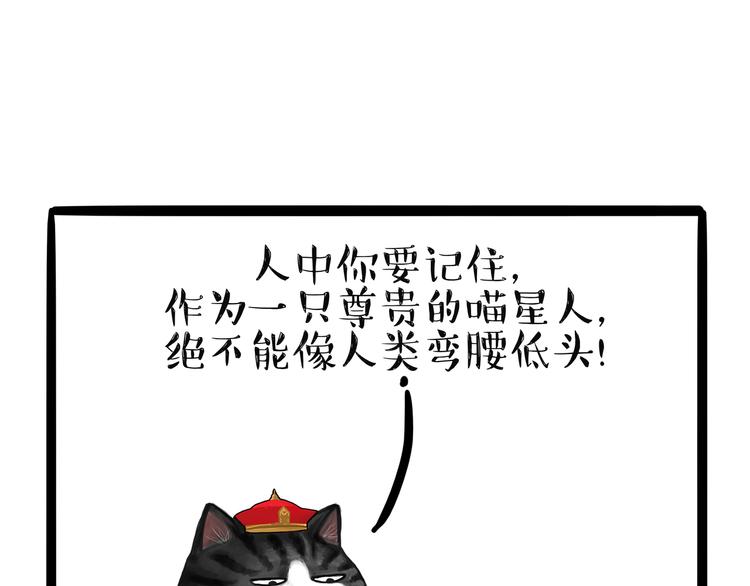 《吾皇巴扎黑》漫画最新章节第124话 一只尊贵的喵免费下拉式在线观看章节第【8】张图片