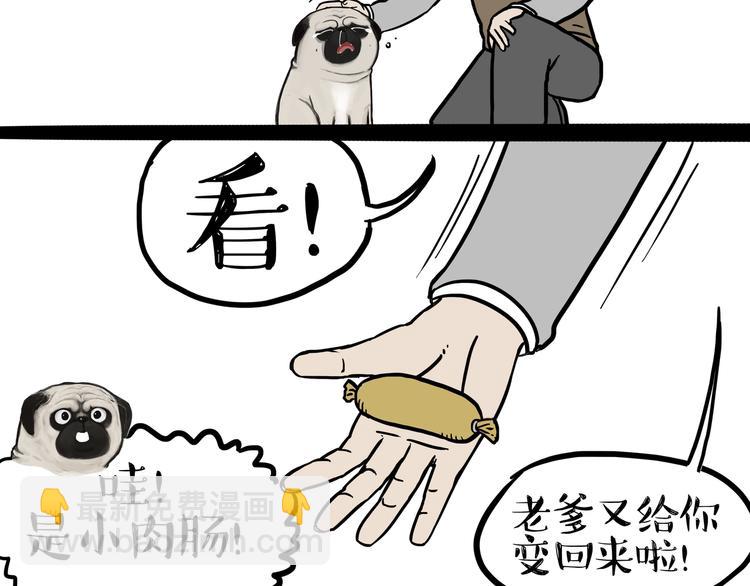 《吾皇巴扎黑》漫画最新章节第125话 一只优秀的汪免费下拉式在线观看章节第【17】张图片