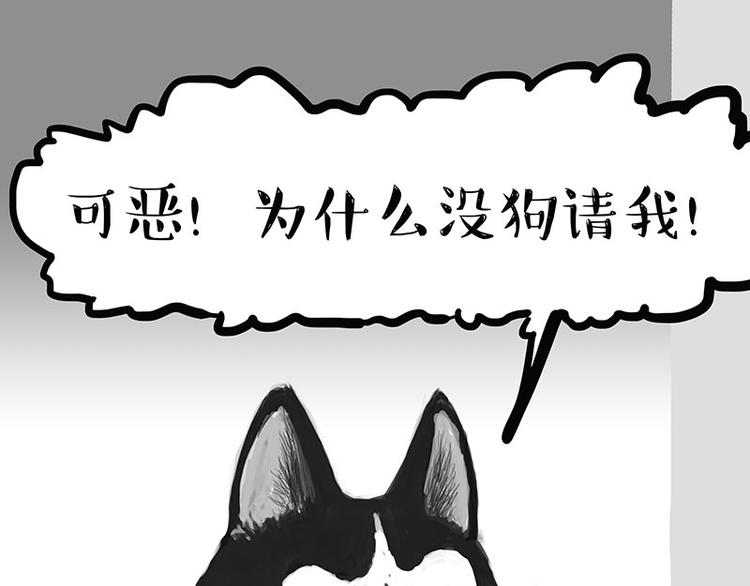 《吾皇巴扎黑》漫画最新章节第126话 巴扎黑你什么都不懂免费下拉式在线观看章节第【11】张图片