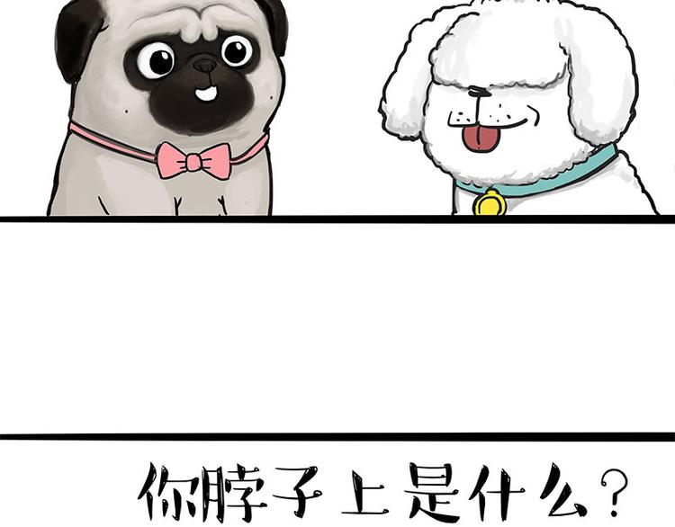 《吾皇巴扎黑》漫画最新章节第126话 巴扎黑你什么都不懂免费下拉式在线观看章节第【17】张图片