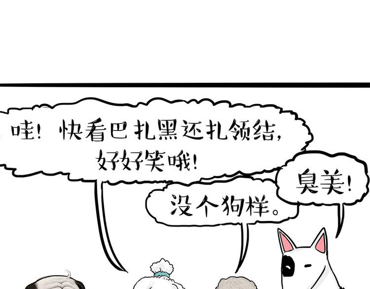 《吾皇巴扎黑》漫画最新章节第126话 巴扎黑你什么都不懂免费下拉式在线观看章节第【19】张图片