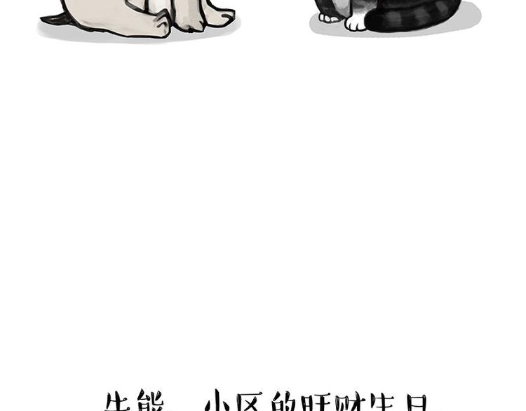 《吾皇巴扎黑》漫画最新章节第126话 巴扎黑你什么都不懂免费下拉式在线观看章节第【4】张图片