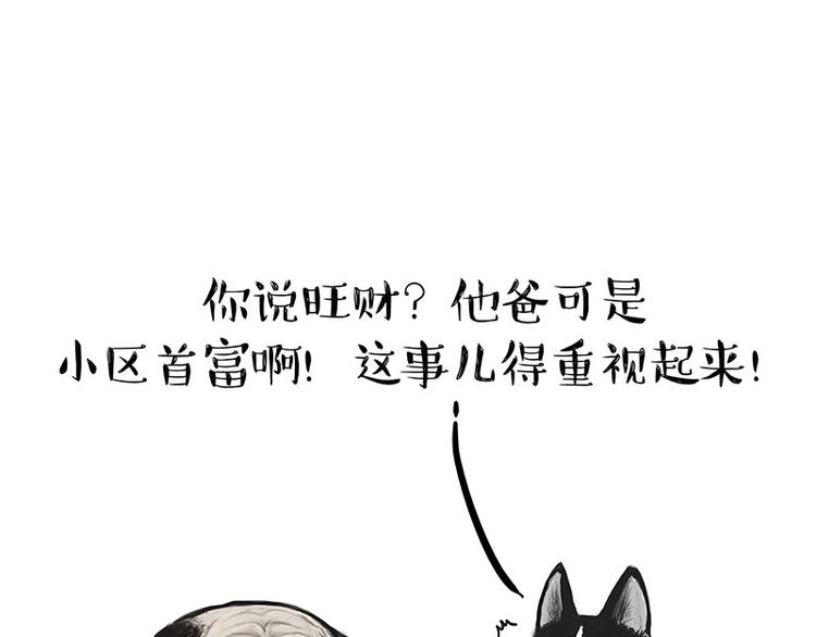 《吾皇巴扎黑》漫画最新章节第126话 巴扎黑你什么都不懂免费下拉式在线观看章节第【6】张图片