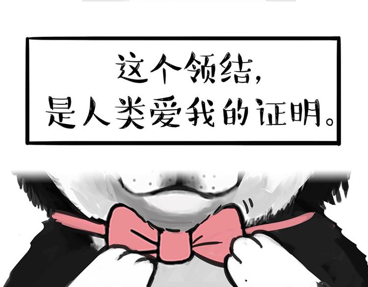 《吾皇巴扎黑》漫画最新章节第126话 巴扎黑你什么都不懂免费下拉式在线观看章节第【71】张图片