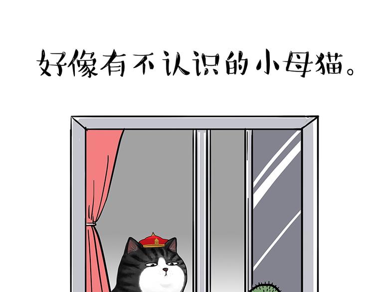 《吾皇巴扎黑》漫画最新章节第129话 反射弧免费下拉式在线观看章节第【4】张图片