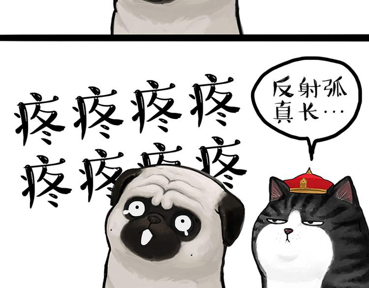 《吾皇巴扎黑》漫画最新章节第129话 反射弧免费下拉式在线观看章节第【42】张图片