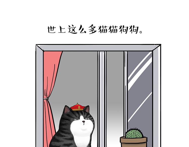 《吾皇巴扎黑》漫画最新章节第129话 反射弧免费下拉式在线观看章节第【7】张图片