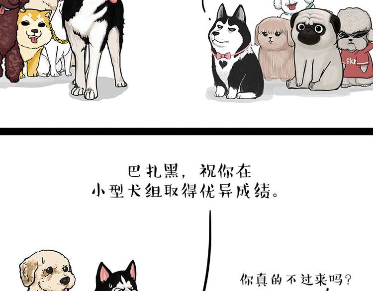 《吾皇巴扎黑》漫画最新章节第131话 不争第一争口气免费下拉式在线观看章节第【13】张图片