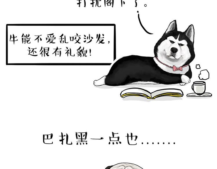 《吾皇巴扎黑》漫画最新章节第134话 溺爱免费下拉式在线观看章节第【35】张图片