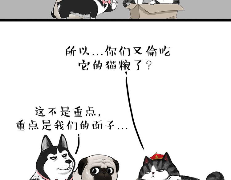 《吾皇巴扎黑》漫画最新章节第136话 不一样又如何免费下拉式在线观看章节第【33】张图片