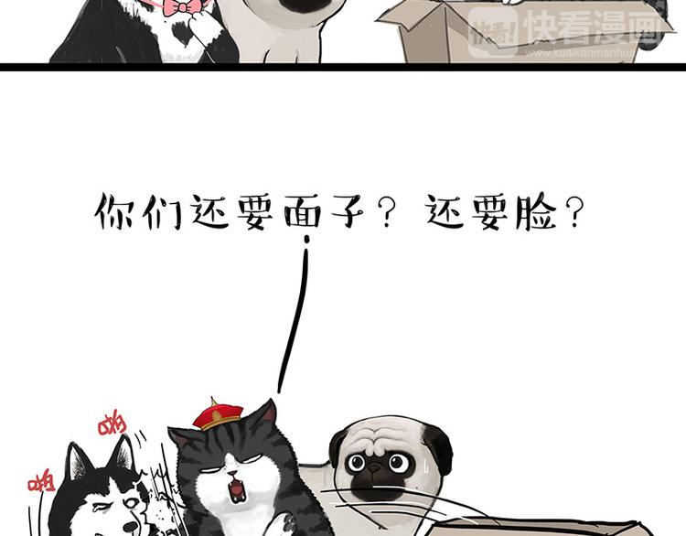 《吾皇巴扎黑》漫画最新章节第136话 不一样又如何免费下拉式在线观看章节第【34】张图片