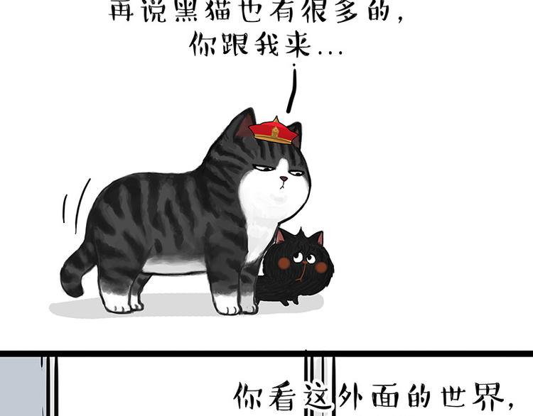 《吾皇巴扎黑》漫画最新章节第136话 不一样又如何免费下拉式在线观看章节第【38】张图片