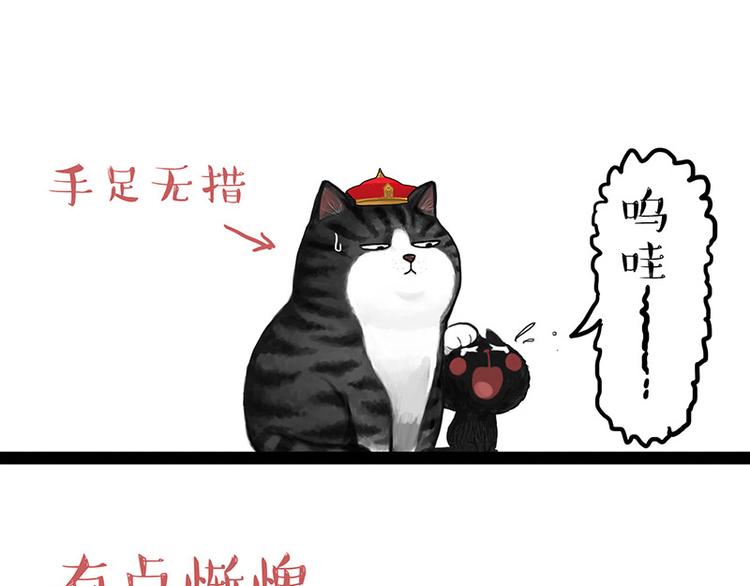 《吾皇巴扎黑》漫画最新章节第136话 不一样又如何免费下拉式在线观看章节第【42】张图片