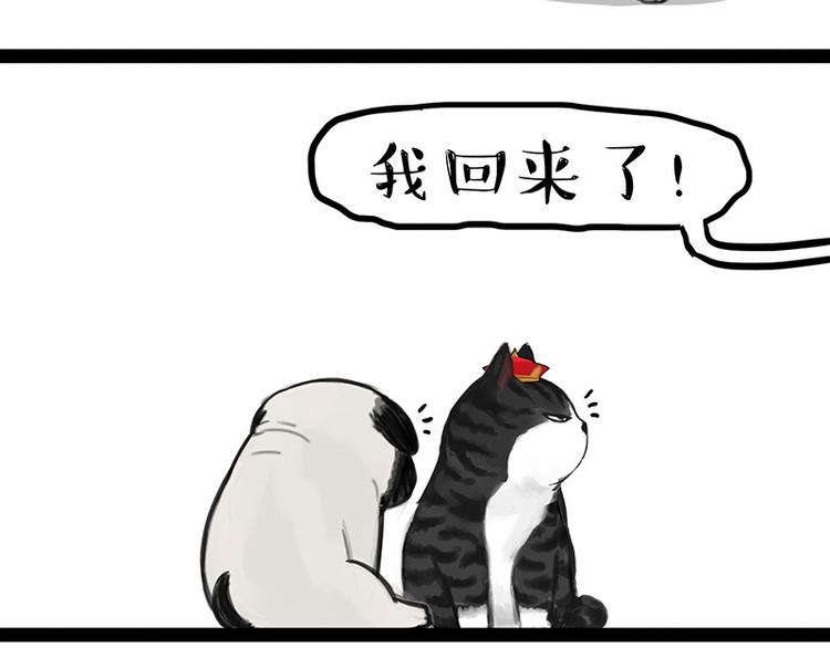 《吾皇巴扎黑》漫画最新章节第136话 不一样又如何免费下拉式在线观看章节第【45】张图片