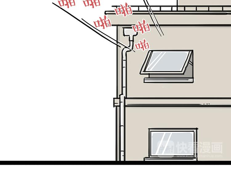 《吾皇巴扎黑》漫画最新章节第137话 泪水，止不住免费下拉式在线观看章节第【12】张图片