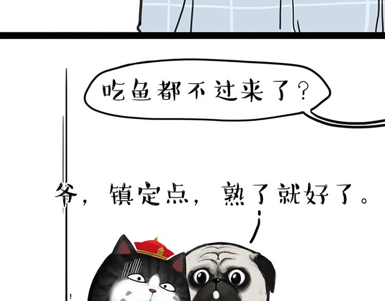 《吾皇巴扎黑》漫画最新章节第137话 泪水，止不住免费下拉式在线观看章节第【14】张图片