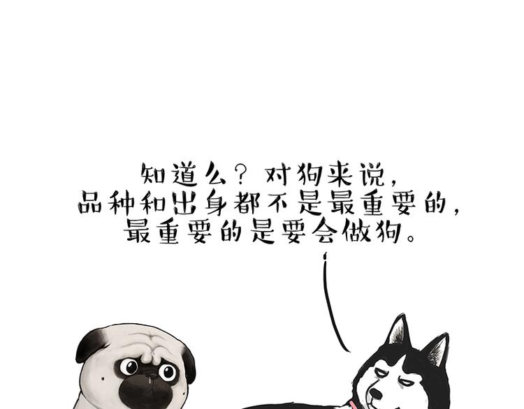 《吾皇巴扎黑》漫画最新章节第137话 泪水，止不住免费下拉式在线观看章节第【16】张图片