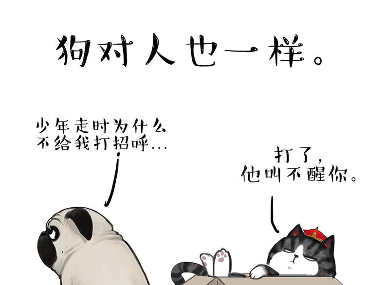 《吾皇巴扎黑》漫画最新章节第137话 泪水，止不住免费下拉式在线观看章节第【28】张图片