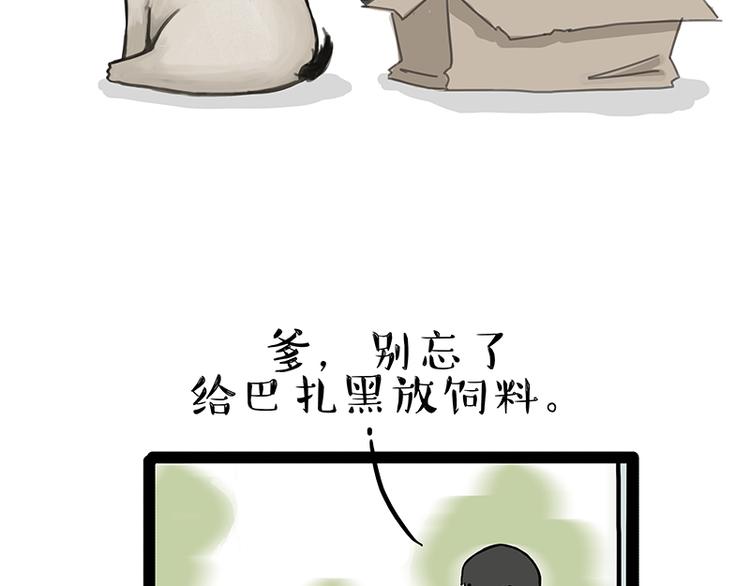 《吾皇巴扎黑》漫画最新章节第137话 泪水，止不住免费下拉式在线观看章节第【29】张图片