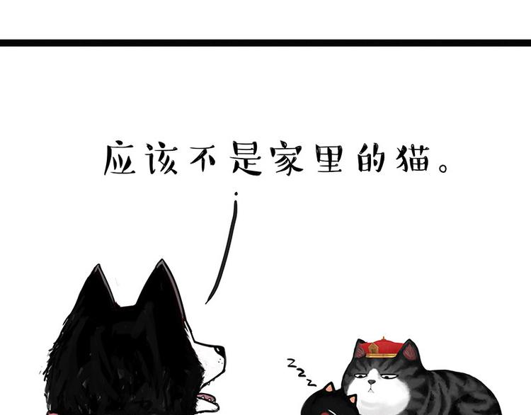 《吾皇巴扎黑》漫画最新章节第137话 泪水，止不住免费下拉式在线观看章节第【33】张图片